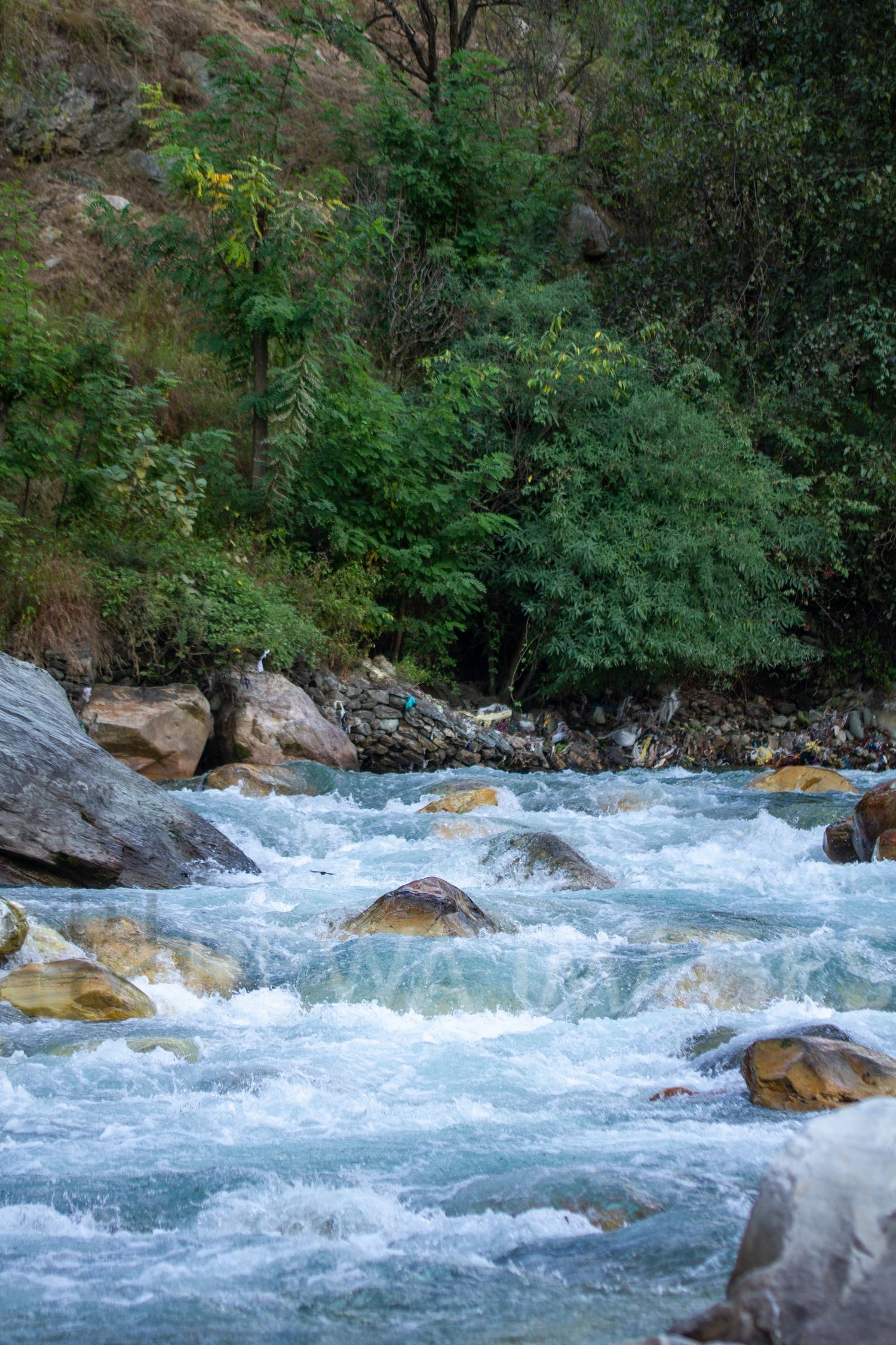 Tirthan River in Himalaya