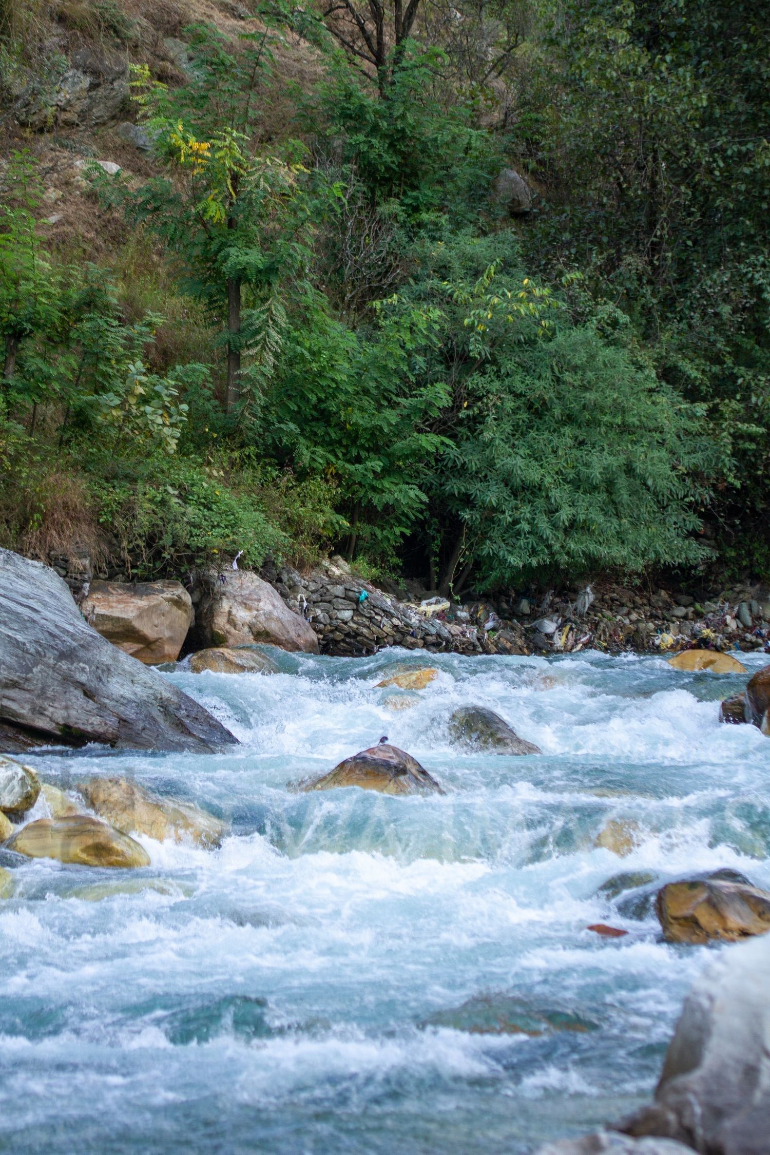 Himalayan Rivers