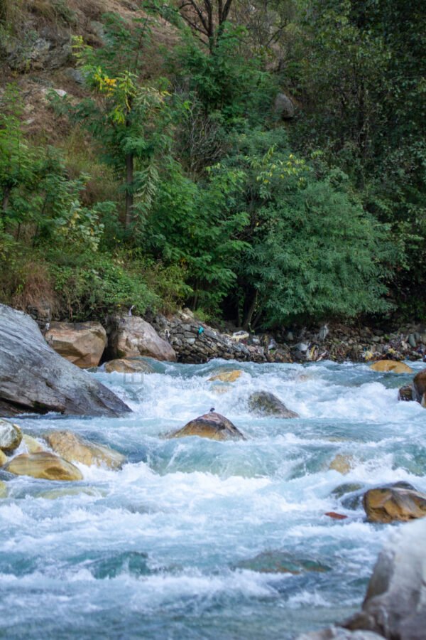 Tirthan River in Himalaya