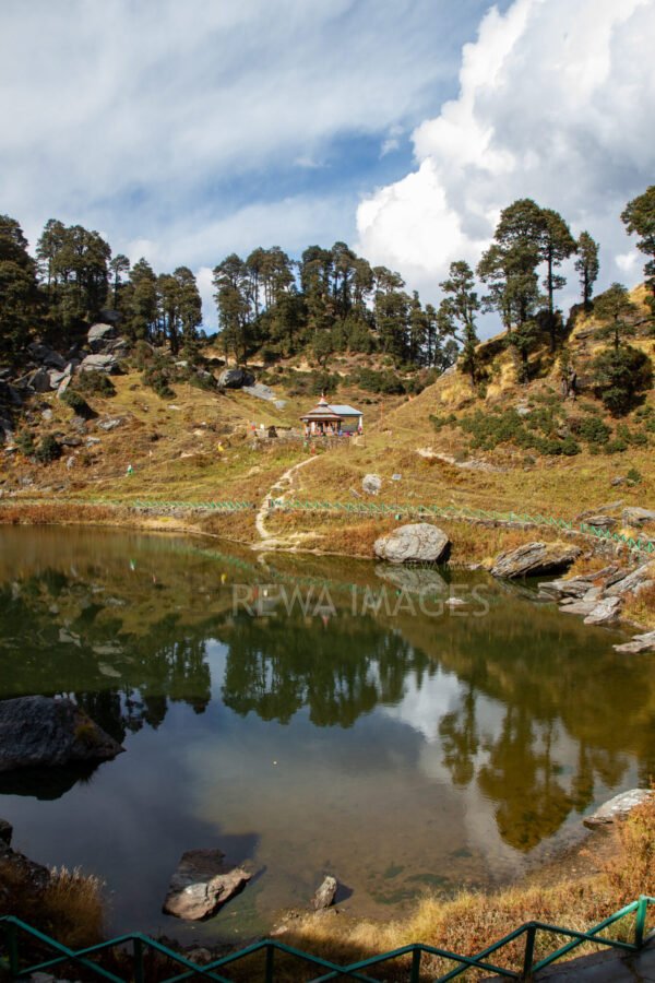 Himalayan Forests