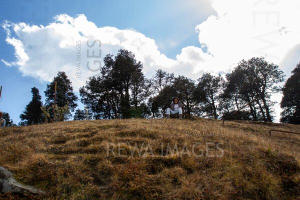 Himalayan Forests